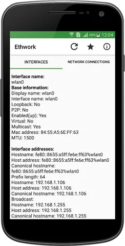Ethwork: Netstat & Interfaces screenshot 4