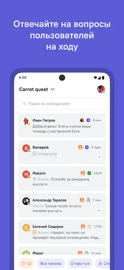 Carrot quest — чат для сайта screenshot 1