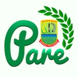 Performance Agreement Report by Electronic (PARE) icon