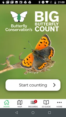 Big Butterfly Count screenshot 2