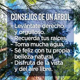 Imagenes de frases sabias screenshot 1