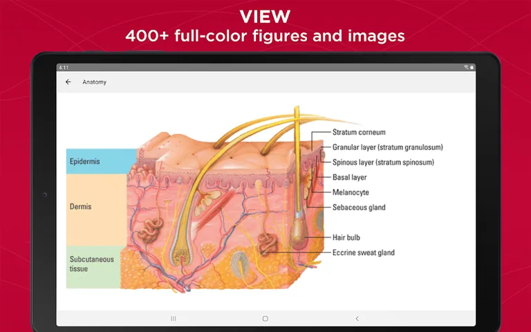 Anatomy & Physiology Made Easy screenshot 8