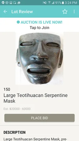 Helm Auction screenshot 2