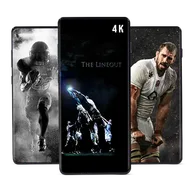 Rugby Players Wallpapers HD & 4K icon