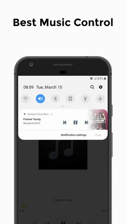 20+ Blackpink Song Offline screenshot 2