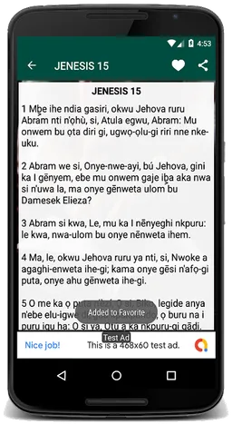 Bible NSO Igbo screenshot 2