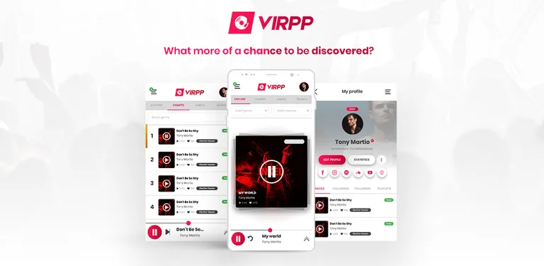 VIRPP cover image
