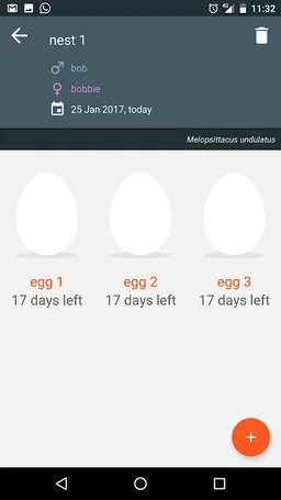 Bird Breeder screenshot 3
