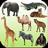 English Animals icon