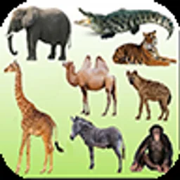 English Animals icon