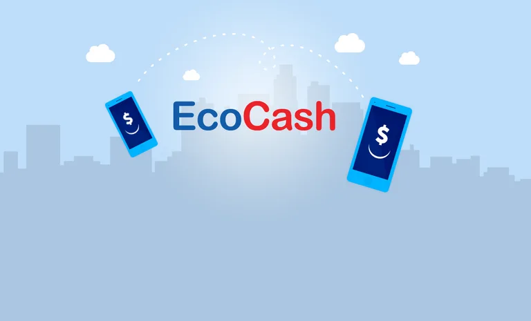 EcoCash (Data App) screenshot 2