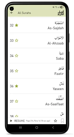 Quraan-E-Karim  (15 Lines) screenshot 10