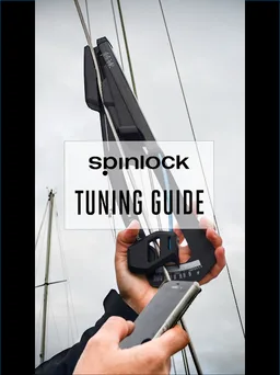 Spinlock Rig-Sense screenshot 9