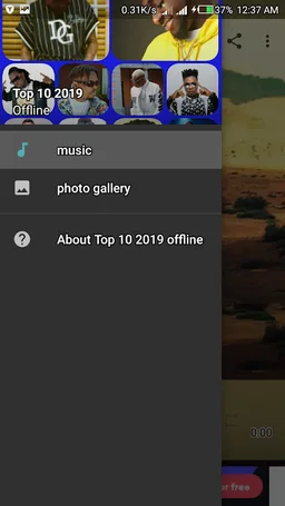 Top10 music offline with 20 artists pictures screenshot 4