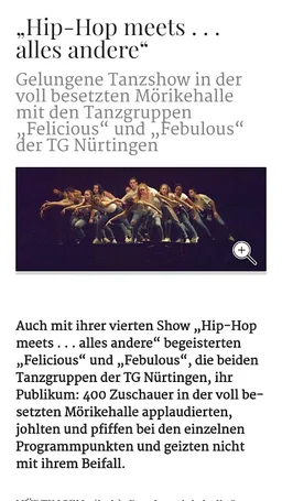 Nürtinger Zeitung digital screenshot 7