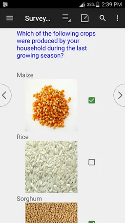 CSEntry CSPro Data Entry screenshot 6