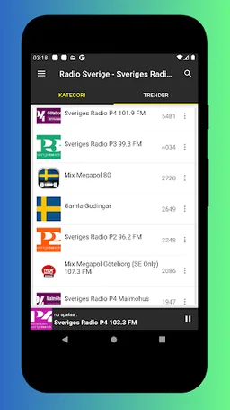 Radio Sweden FM - DAB Radio screenshot 13