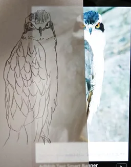 Draw on a paper screenshot 9