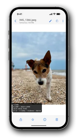 Right Gallery screenshot 2