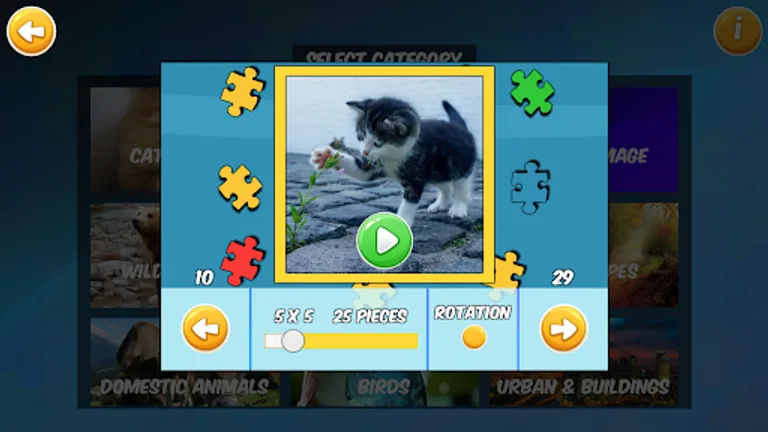 Amazing Jigsaw Puzzle screenshot 2