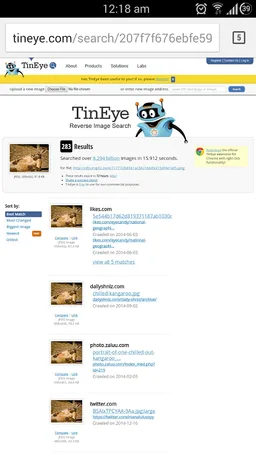 Similar Images screenshot 3