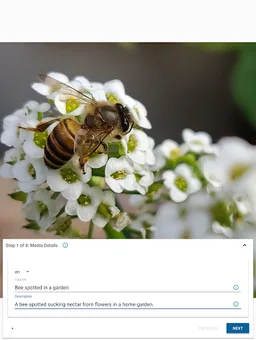 Wikimedia Commons screenshot 10