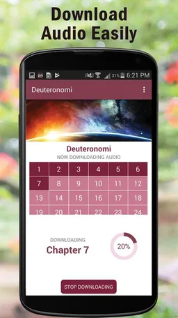 Yoruba Audio Bible Old/New KJV screenshot 3