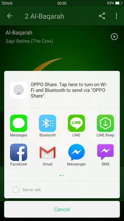 Oromo Quran MP3 Translation screenshot 7