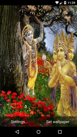 Brahma Live Wallpaper HD screenshot 4