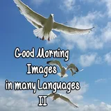 Good Morning Images M. Lang. 2 icon