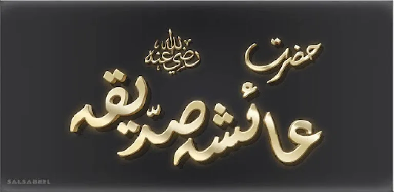 Hazrat Aisha Bint Abu Bakr RA cover image