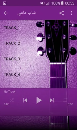 cheb mami أفضل أغاني الشاب مامي screenshot 2