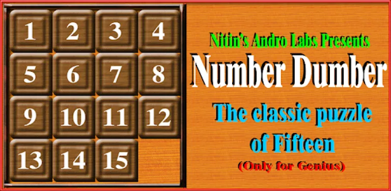 Number Dumber cover image