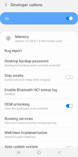 Developer Options screenshot 2