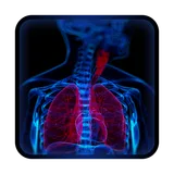 Body Xray- Prank icon