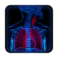 Body Xray- Prank icon