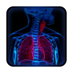 Body Xray- Prank icon