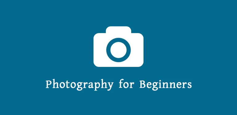 Photography for Beginners cover image
