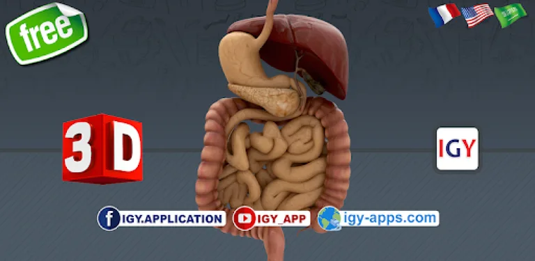 Anatomy 3D cover image