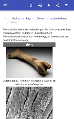 Body tissues screenshot 7
