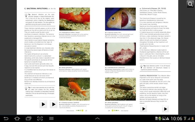 Fish Diseases screenshot 18