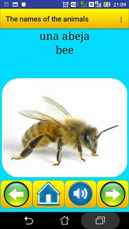 Animals names in Spanish screenshot 6