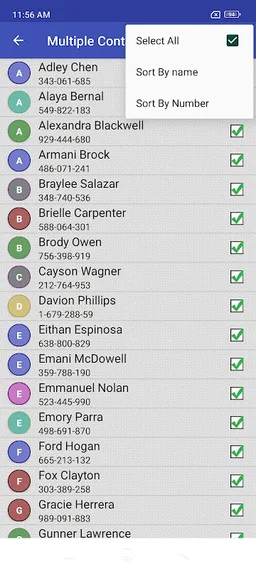 Delete all Phonebook Contacts screenshot 5