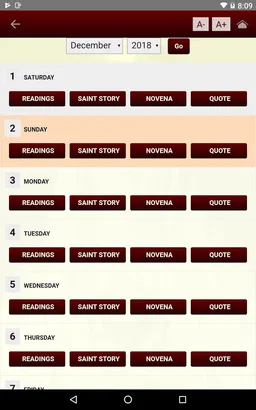 Jesus Reigns Marian Movement screenshot 1