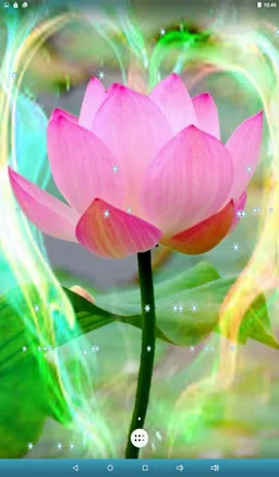 Lotus Live Wallpaper screenshot 11