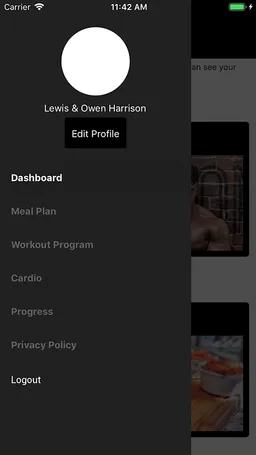 Harrison Twins screenshot 3