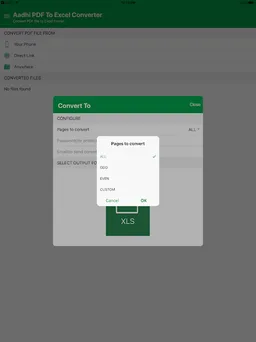 Aadhi PDF To XLS Converter screenshot 7