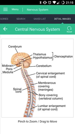 Nervous System Reference Guide screenshot 1