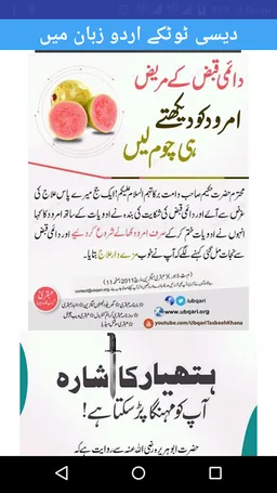 Desi Totkay in Urdu screenshot 2