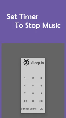 SM Player screenshot 1